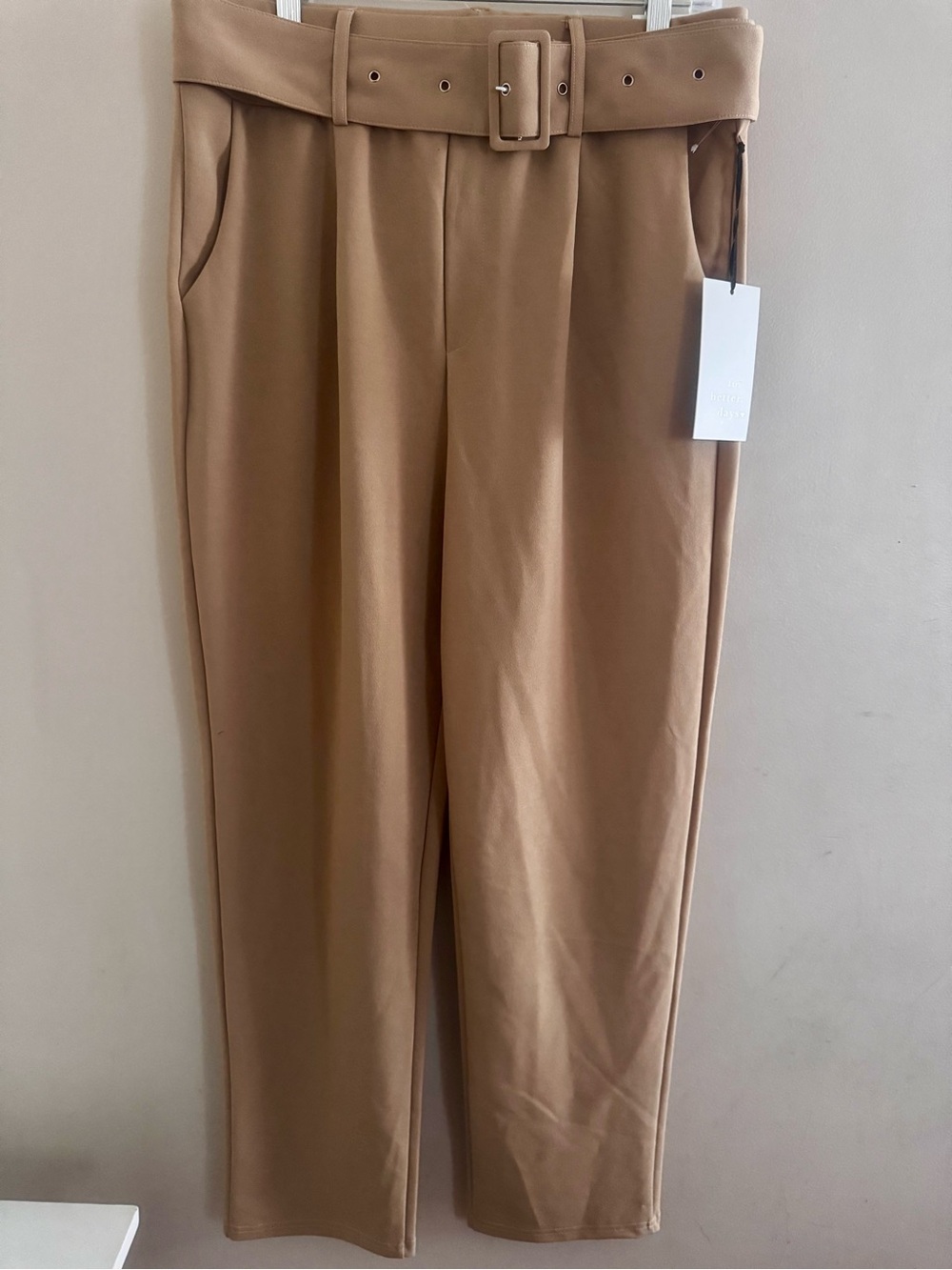 High-Rise Belted Trousers in Camel